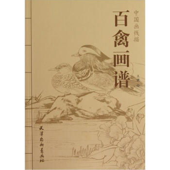 百禽画谱 下载