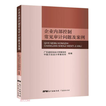 企业内部控制常见审计问题及案例 下载