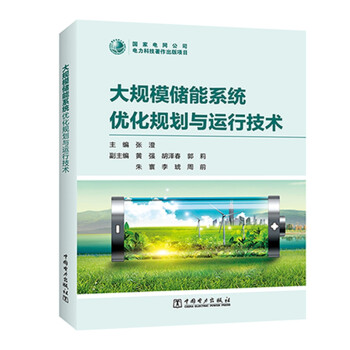 大规模储能系统优化规划与运行技术 下载