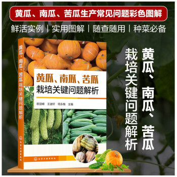 黄瓜、南瓜、苦瓜栽培关键问题解析 下载