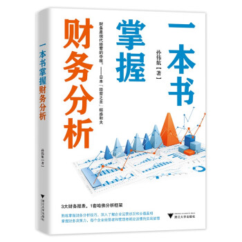 一本书掌握财务分析（拥有财务分析能力，就拥有了财务思维，就能在内部决策和外部投资中获益） 下载