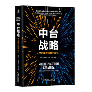 中台战略：中台建设与数字商业 下载