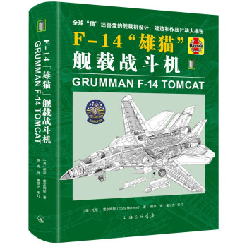 F-14“雄猫”舰载战斗机 下载