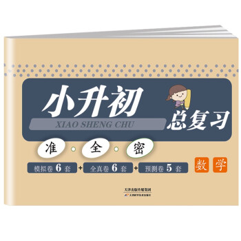 小升初总复习测试卷 数学（全套模拟试卷真题卷必刷题总复习书同步练习） 下载