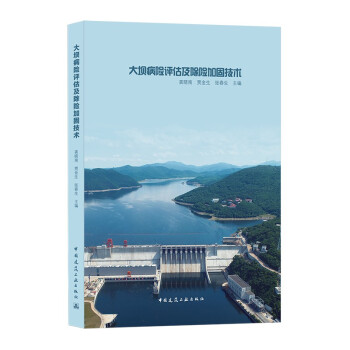 大坝病险评估及除险加固技术 下载