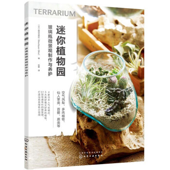 治愈系微景观 适合花店出售 也适合在家diy 下载