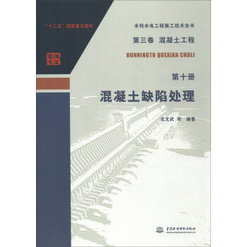 水利水电工程施工技术全书（第三卷）·（混凝土工程 第十册）：混凝土缺陷处理 下载