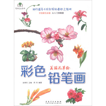 艺泽美术系列：彩色铅笔画 美丽花草绘 下载