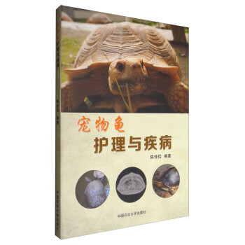 宠物龟护理与疾病 下载