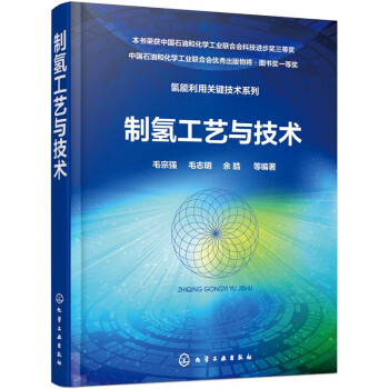 氢能利用关键技术系列--制氢工艺与技术（精装） 下载