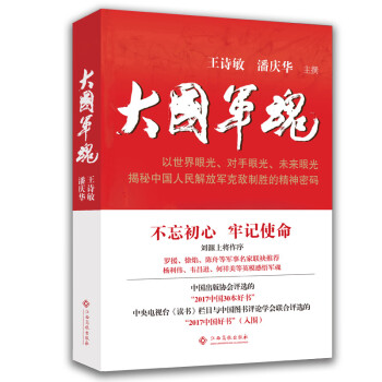 大国军魂 下载