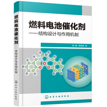燃料电池催化剂——结构设计与作用机制 下载