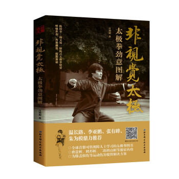 非视觉太极—太极拳劲意图解 下载