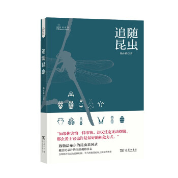 追随昆虫(自然感悟丛书) 科普读物 生物世界 全新修订版！央视读书栏目力荐，入选清华暑假书单 下载