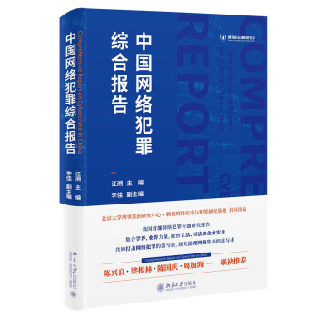 中国网络犯罪综合报告 下载