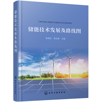 储能技术发展及路线图 下载