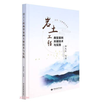 岩土工程典型案例关键技术与实践(精) 下载