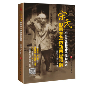 宋氏形意拳及内功四经精解 下载