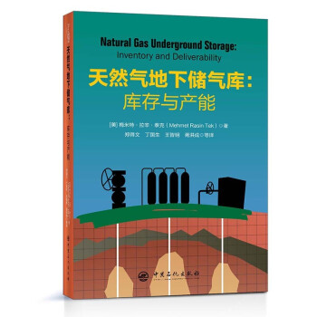 天然气地下储气库：库存与产能 下载