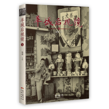羊城后视镜5 下载