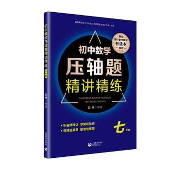 初中数学压轴题精讲精练（七年级） 下载