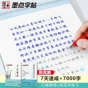 荆霄鹏行楷入门字帖通用规范汉字初学者7000常用字行楷体墨点硬笔行楷字帖练字大学生行楷入门公务员练字帖成年人连笔字字帖 （2本套装） 下载