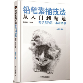 铅笔素描技法从入门到精通 下载