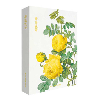出类艺术明信片：蔷薇花诗 下载