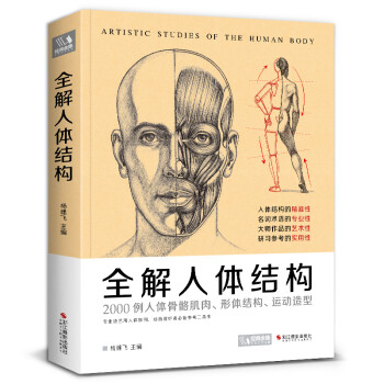 经典全集《全解人体结构》艺术用解剖学工具书籍素描美术绘画入门教程肌肉运动造型形体手绘技法笔记图集教材 下载