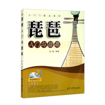 琵琶入门与提高 下载
