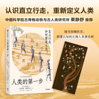 人类的第一步：直立行走如何塑造人类？杰里米·德席尔瓦著 中信出版社 下载