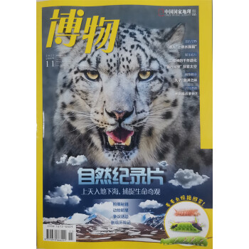 博物 2022年11月号 本期主题 自然纪录片 中国国家地理青春少年版 博物君式科普百科期刊 京 下载