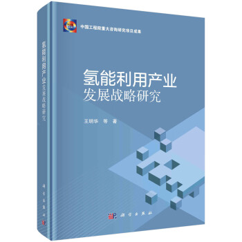 氢能利用产业发展战略研究 下载