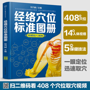 经络穴位标准图册 下载