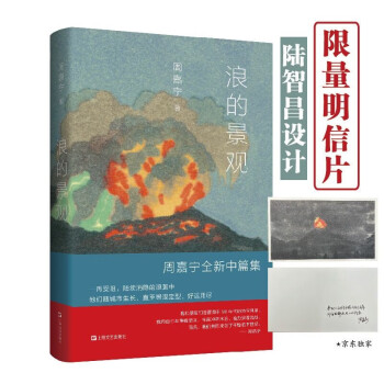 浪的景观（暌隔四年，乘风而归，周嘉宁千禧一代中篇三部曲）【京东专享限量版明信片（陆智昌设计）】 下载