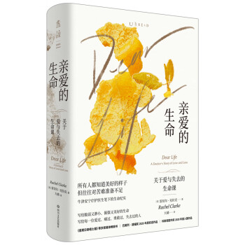亲爱的生命：关于爱与失去的生命课 下载
