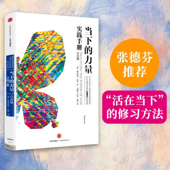 当下的力量实践手册（白金版）埃克哈特·托利经典之作 张德芬推荐 下载