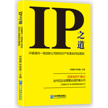 IP之道：30家国内一线创新公司的知识产权是如何运营的 下载