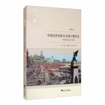 中国经济史的大分流与现代化：一种跨国比较视野 下载