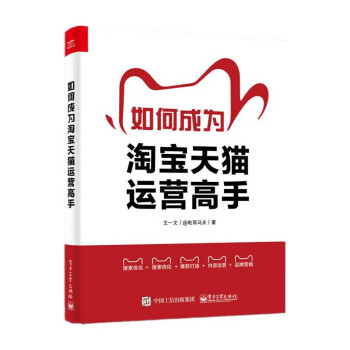如何成为淘宝天猫运营高手 下载