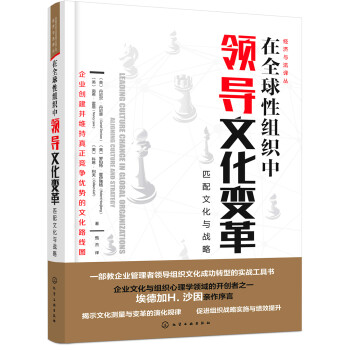 经济与法译丛--在全球性组织中领导文化变革：匹配文化与战略 下载