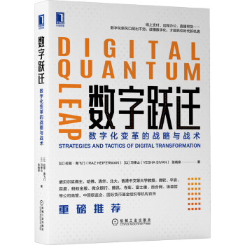 数字跃迁：数字化变革的战略与战术 下载
