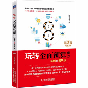 玩转全面预算魔方 实例+图解版 第2版 下载