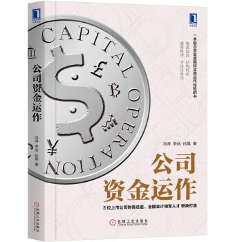 公司资金运作 下载