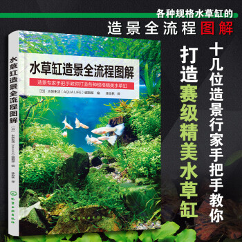 水草缸造景全流程图解 下载