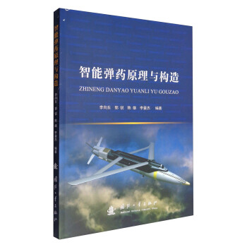 智能弹药原理与构造 下载