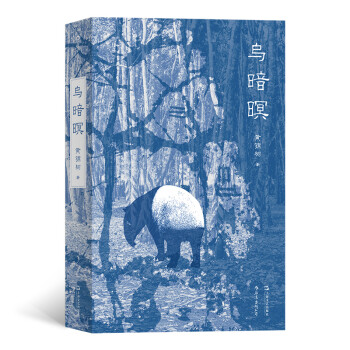 乌暗暝（北京大学“世界华文文学奖”获奖作品《雨》作者马华文学作家黄锦树，早期代表作品全收录） 下载