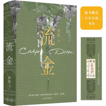 流金（丹·布朗赞赏的作家、《大唐悬疑录》作者唐隐全新心理悬疑长篇，那多、蔡骏推荐，真正的秘密永远藏在心底，别指望明天） 下载