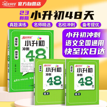 阳光同学 2023春小升初冲刺48天语文 小升初知识大盘点专项训练人教通用版 小学毕业升学总复习资料测试题教材辅导书 下载