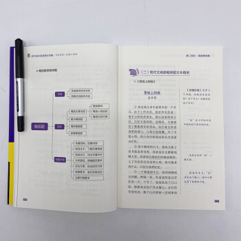 初中语文阅读高分攻略：作者思维+出题人思维 下载